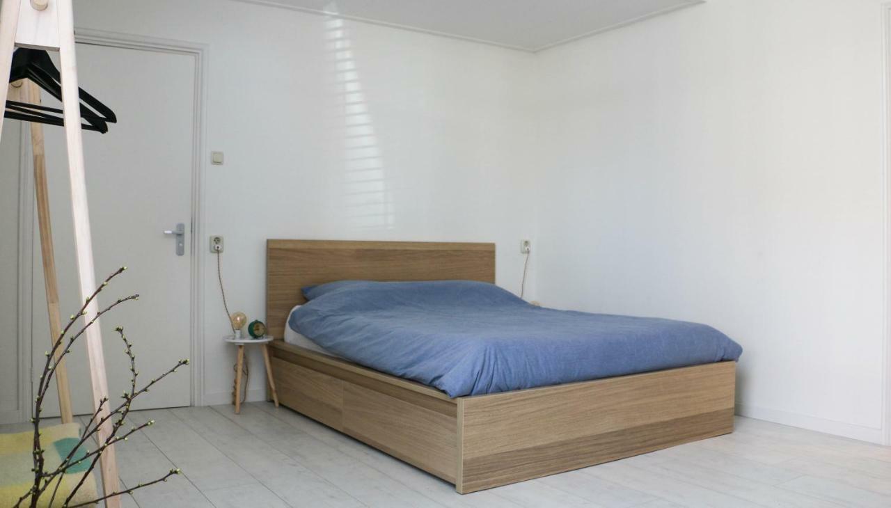 Logement Nij Bonga Holwerd Dış mekan fotoğraf